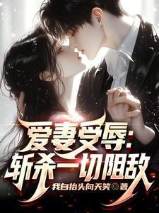 书名爱妻作者惊蛰