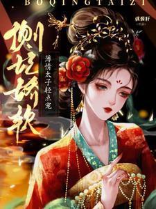 侧妃和太子妃是真爱的