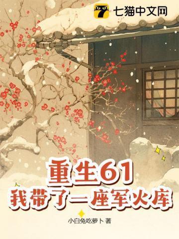 我带了一座军火库免费全文阅读