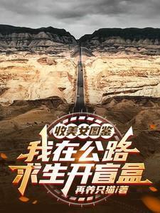 我在公路求生开盲盒无修