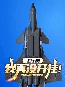 我是个飞行员