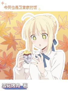 卫宫家今天的饭type-moon