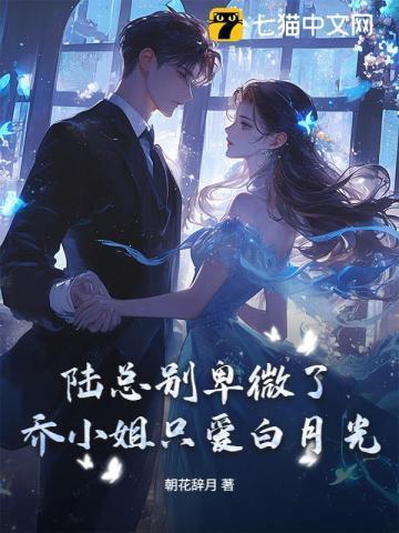 陆总的小娇妻甜度爆表