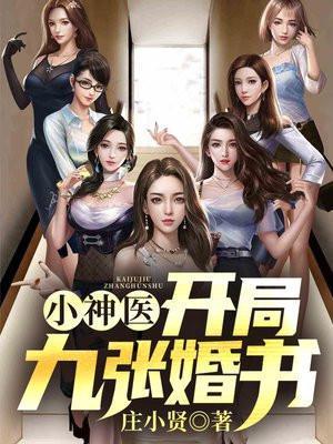 小神医开局九张婚书免费全集
