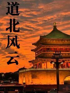 道北风云最新全文阅读