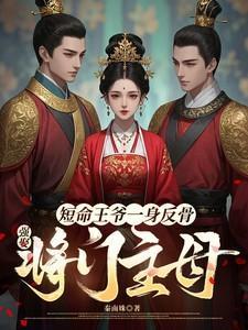 夫人已经改嫁了