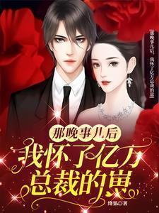 那晚事儿后我怀了亿万总裁的崽