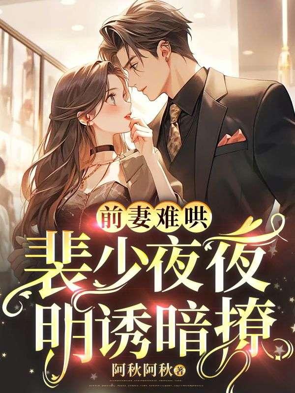 裴少闪婚免费阅读