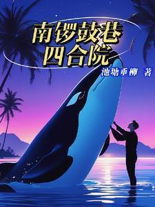 南锣鼓巷四合院赵东升