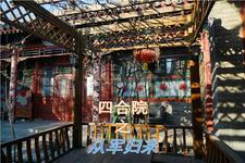 四合院从退伍开始专坑白眼