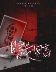 暗巷是什么意思