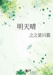 明天晴天是什么短语类型