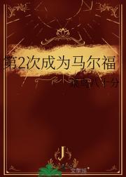 马尔福后来的工作