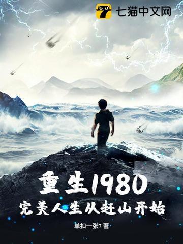 完美人生重回1985