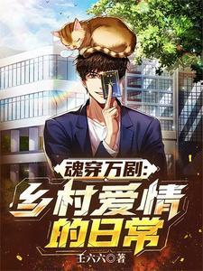 穿越乡村爱情的系统