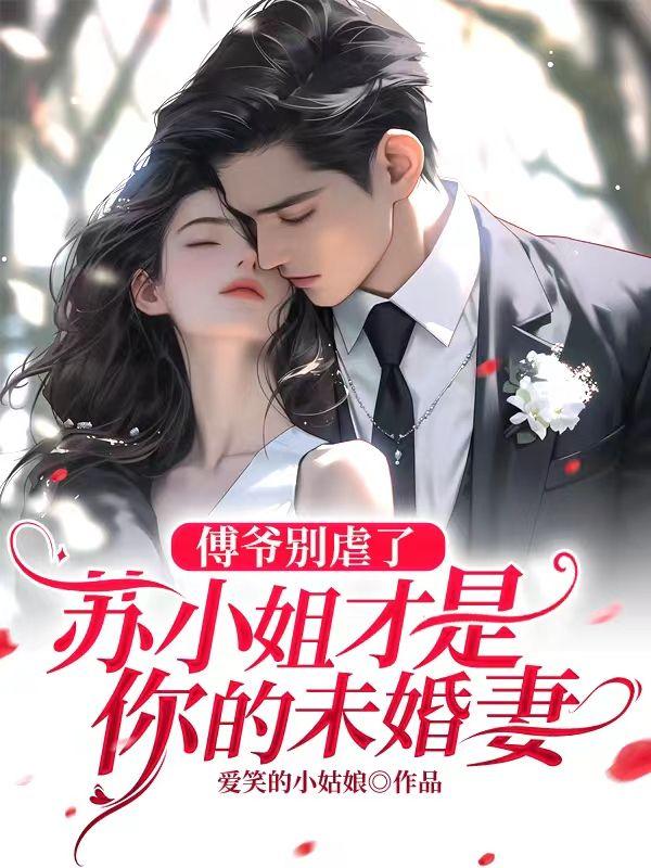 傅夜苏小珍免费