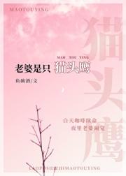 说一个人是猫头鹰什么意思