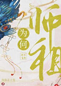 师祖为何还不飞升资源