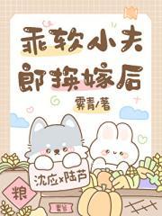 乖软小夫郎换嫁后by江