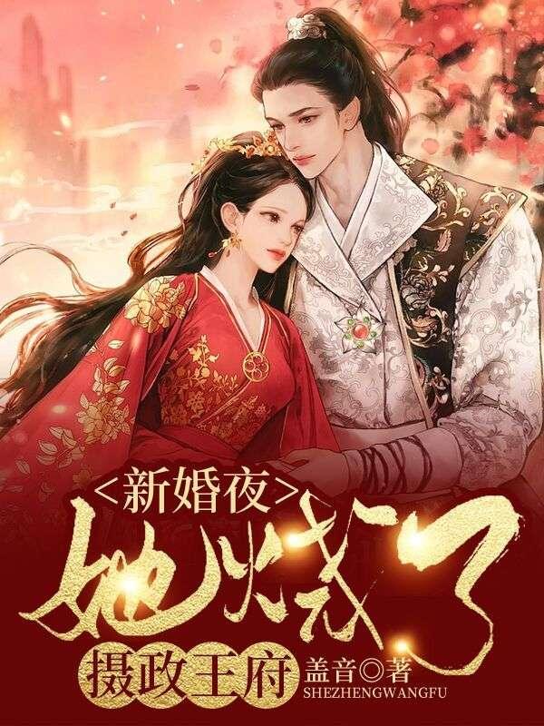 新婚夜她烧了摄政王府