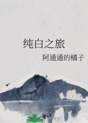 纯白之旅破解版