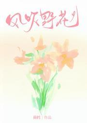 风吹野花的视频素材