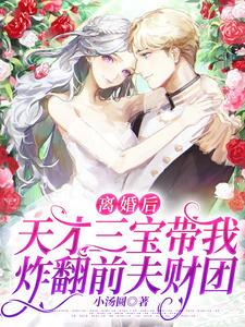 天才三宝总裁爹地l追妻忙