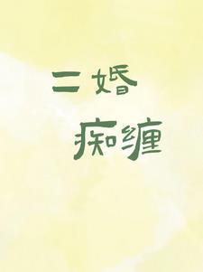 二婚痴缠免费阅读