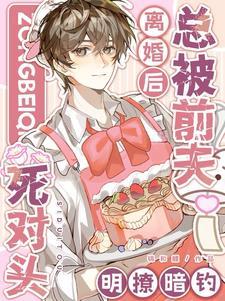 离婚后我被前夫倒追了免费