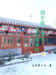 重生四合院何雨轩