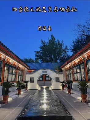 四合院我是贾浩云