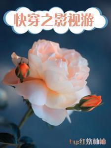 快穿之影视游从南来北往开始原文出