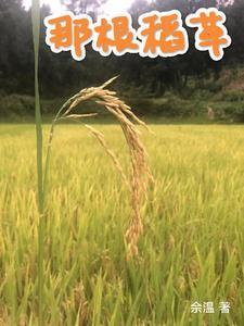 一根稻草的革命表达了什么