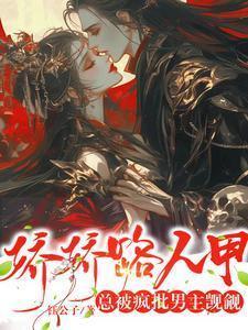 快穿美貌路人甲总让剧情崩坏