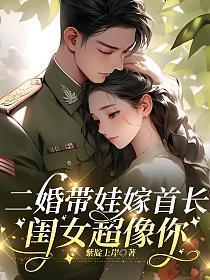 二婚嫁首长全文