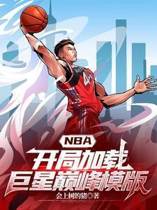 nba之开局即巅峰