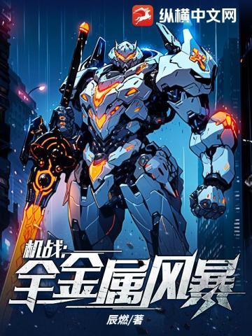 机战全金属风暴TXT免费