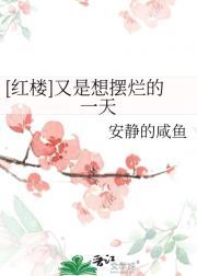 [红楼]又是想摆烂的一天