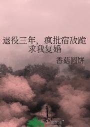 退役三年，疯批宿敌跪求我复婚