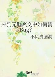 来到无脑爽文中如何清除Bug？