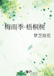 梅雨季·梧桐树