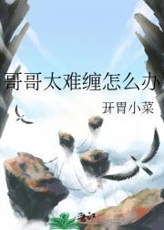 哥哥太难缠怎么办