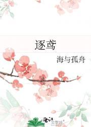 逐鸢