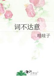 词不达意