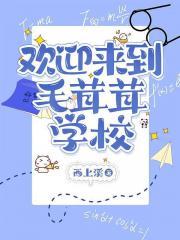 到毛茸茸学校当实习老师