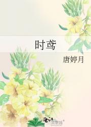 时鸢