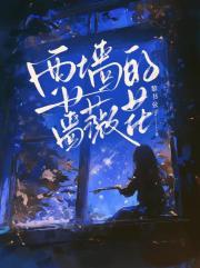 西墙的蔷薇花